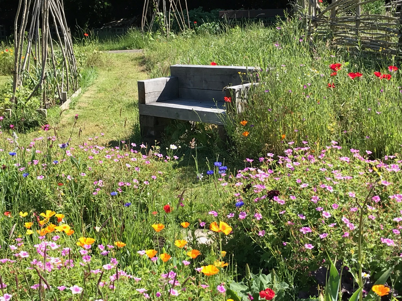 Image result for nightingale community garden cambridge